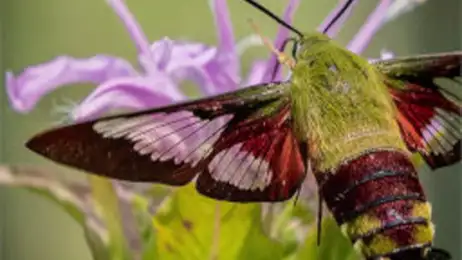 Kompresuj pliki do mniejszego rozmiaru, nawet 10x!